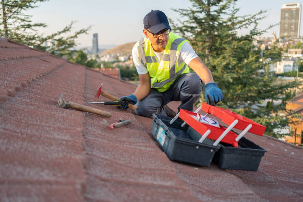 Best Construction Debris Removal  in Fruitport, MI
