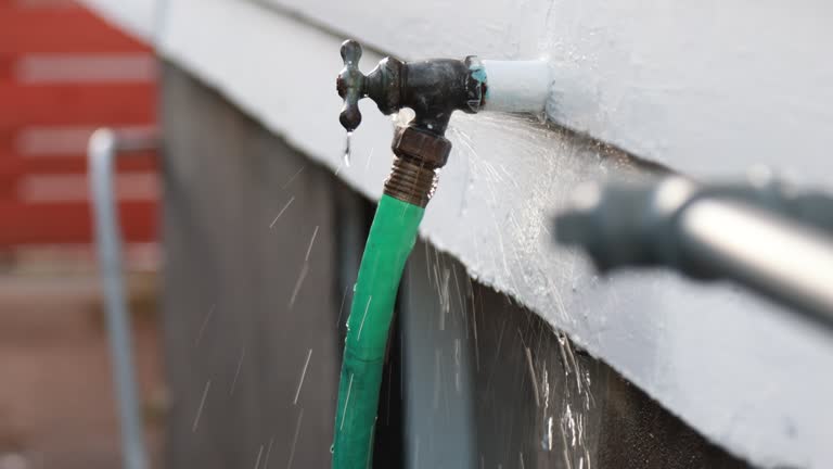 Best Property Management Cleanouts  in Fruitport, MI